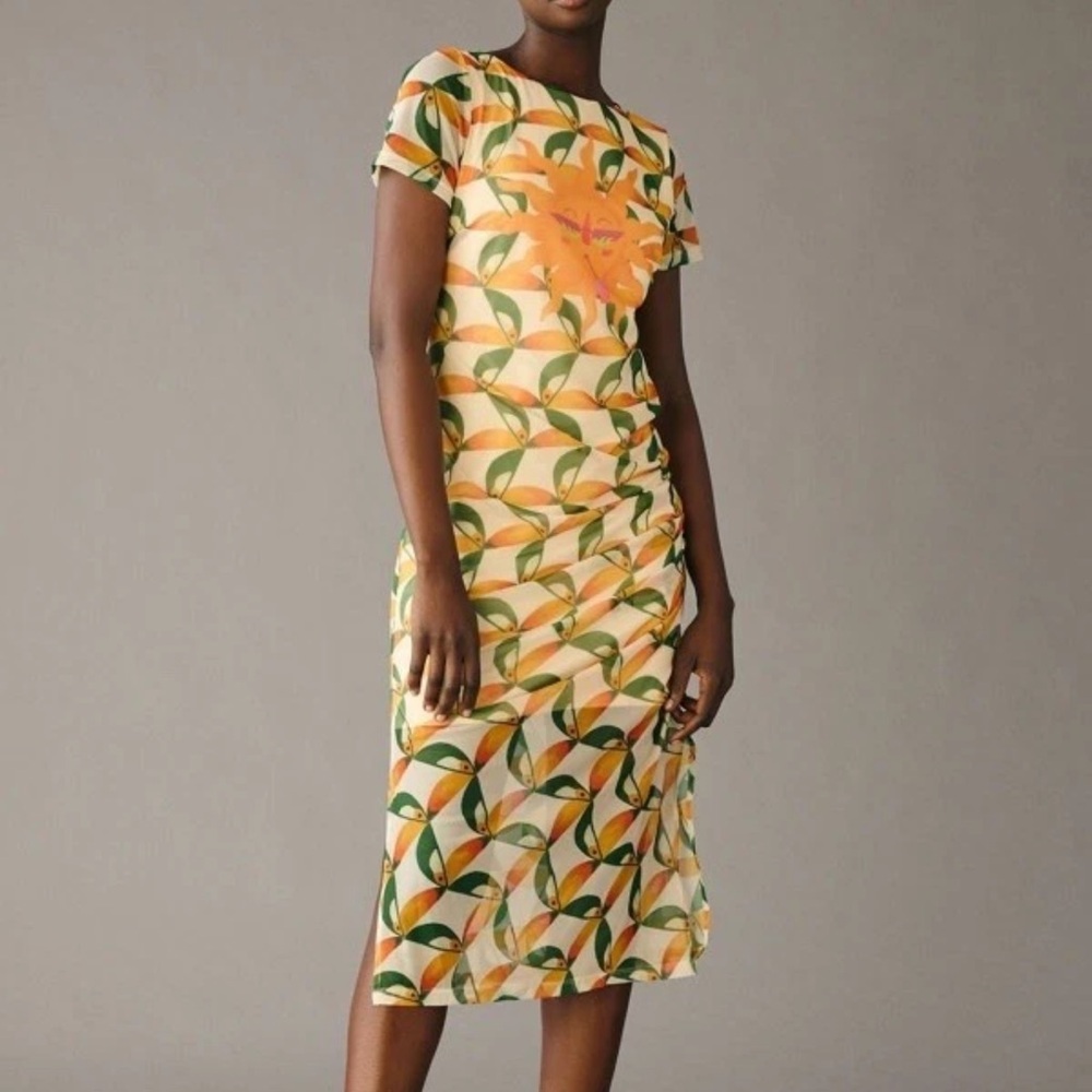 FARM RIO x ANTHROPOLOGIE  Printed Mesh
Toucan Bird Sun Midi Fitted Dress Sz S